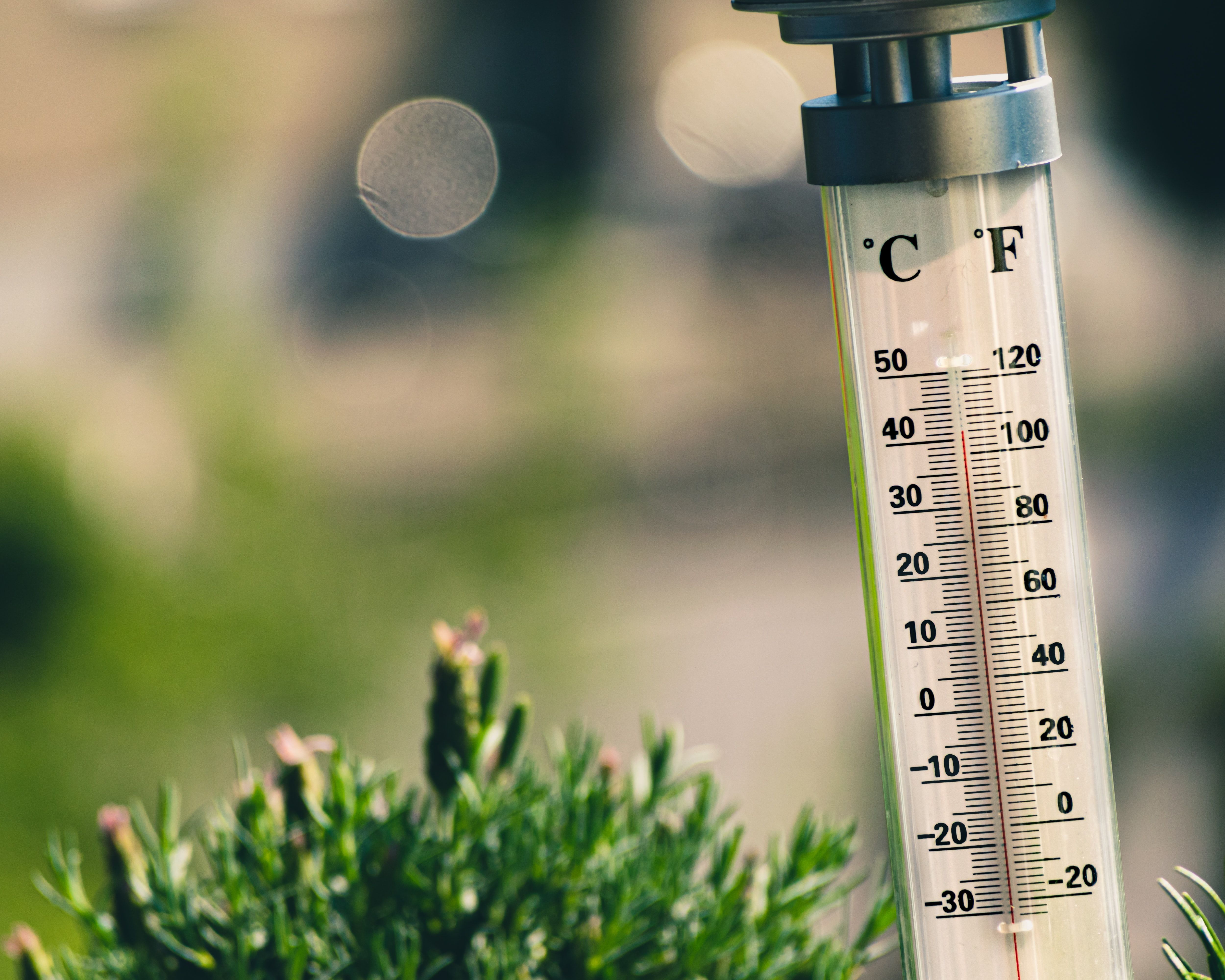 food storage thermometer