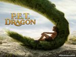 srcset=https://cpazurefilestorage.blob.core.windows.net/website-images/legacyBlogImages/2017_1600x1200_PETdragon-150x113.jpg