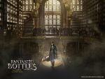 srcset=https://cpazurefilestorage.blob.core.windows.net/website-images/legacyBlogImages/2017_1600x1200_fantasticbottles-150x113.jpg